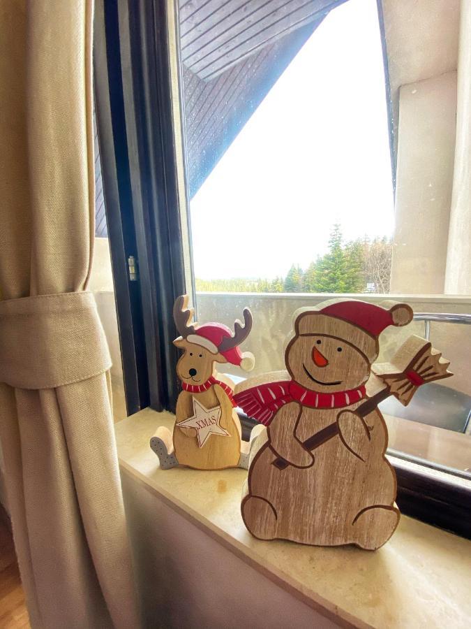 Apartament Papa Moose Pamporowo Zewnętrze zdjęcie